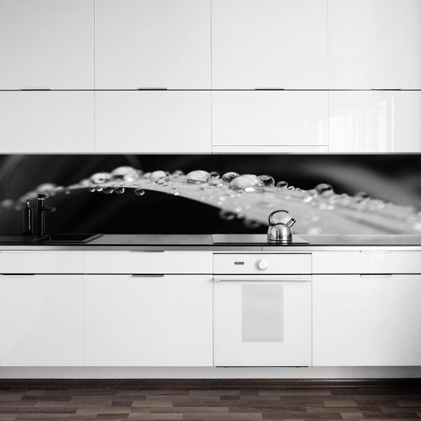 fototapeta kuchenna liść