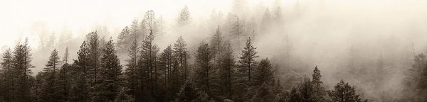 kuchenna fototapeta w kolorze beżowym