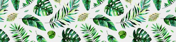 fototapeta kuchenna zielona