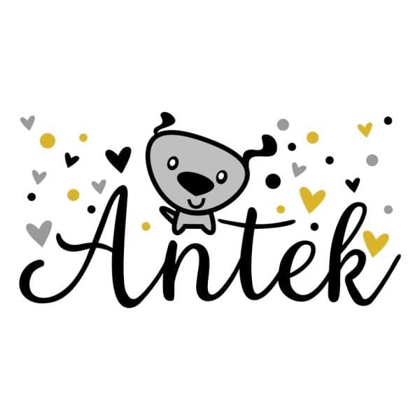 naklejka do pokoju dziecka