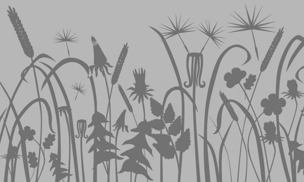 okleina okienna polne kwiaty