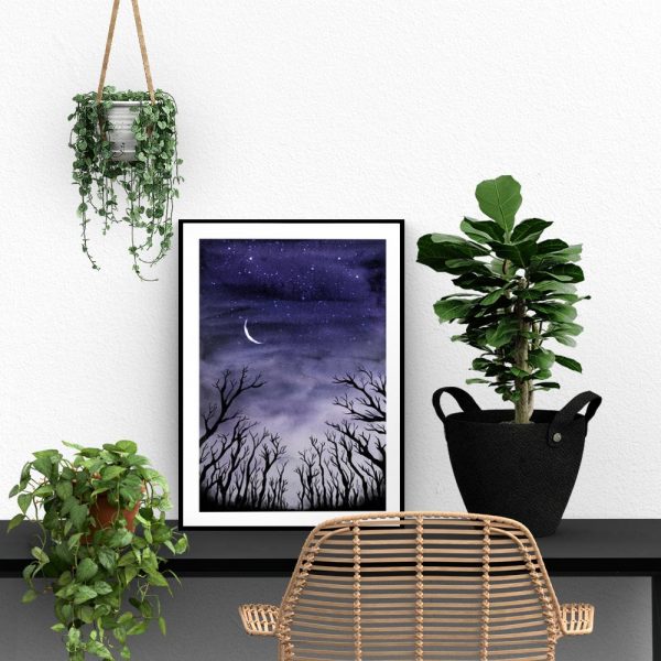 nocny widok na niebo