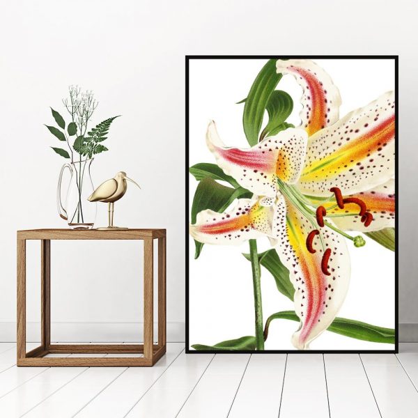 kolorowa dekoracja roślinna