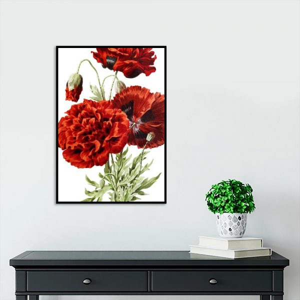 czerwone kwiaty na białym tle