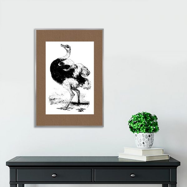 plakat ścienny i struś