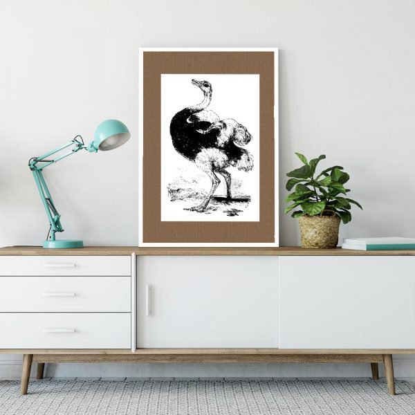 motyw strusia czarno-białego