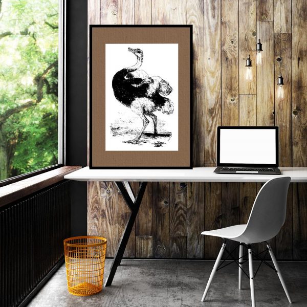 plakat ze strusiem - ptakiem