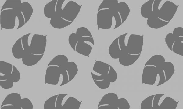 Okleina okienna tropikalne liście