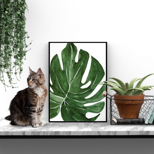 plakat ścienny z monsterą do salonu