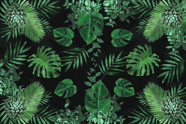 tapeta zielone liście