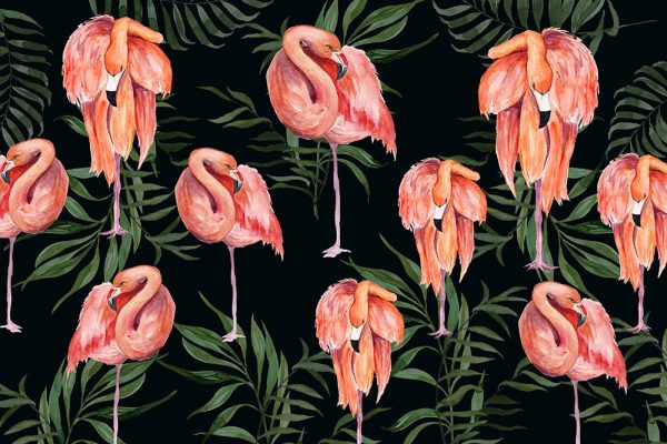 tapeta liście i flamingi