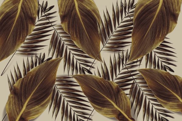 tapeta z motywem liści