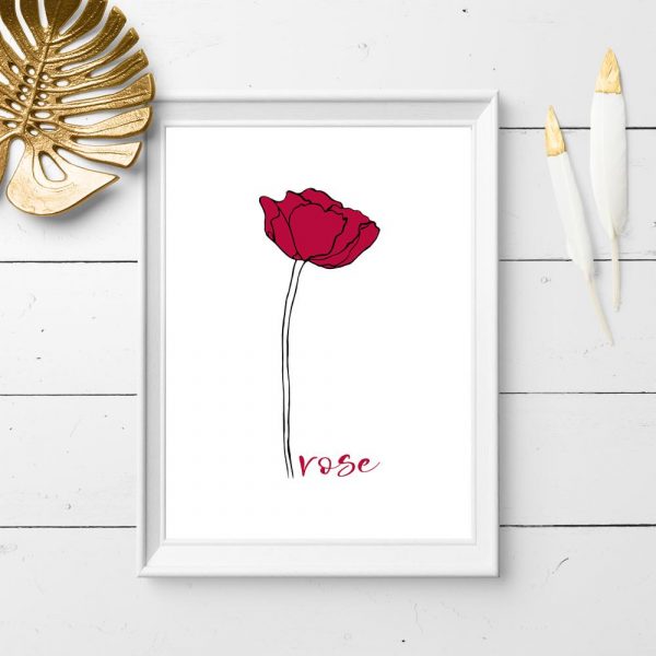 plakat róża