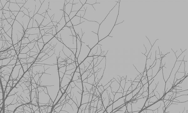 naklejka piaskowane szkło gałęzie