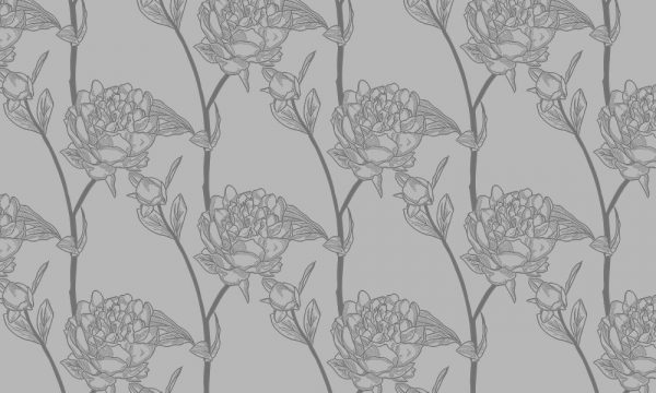 folia mrożone szkło piwonie