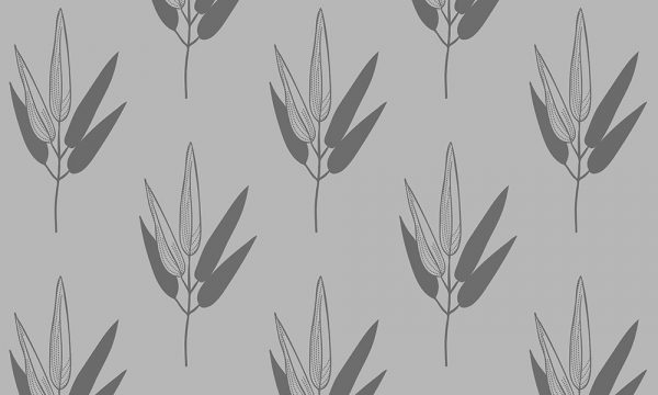 okleina na szybę bambus