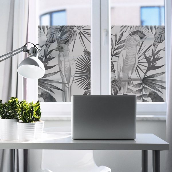 naklejka na okno papugi