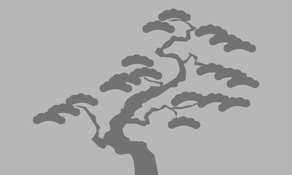 folia mrożone szkło drzewo