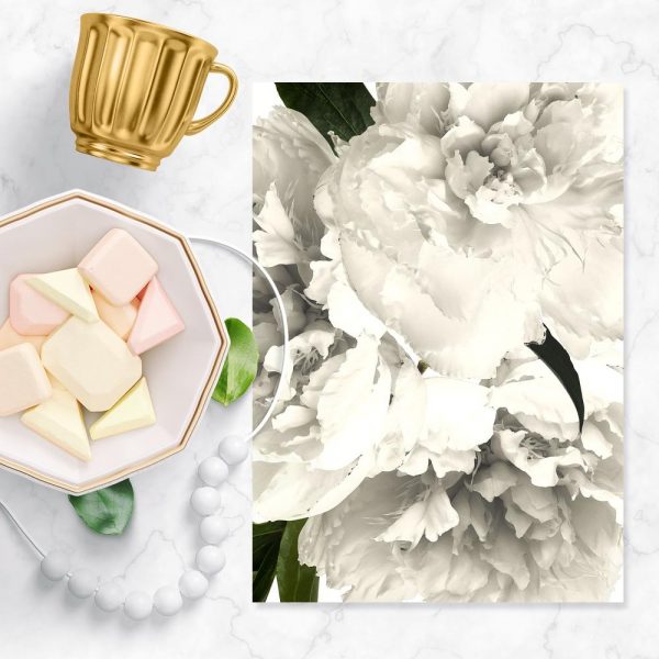 Piwonie w kolorze białym na plakacie