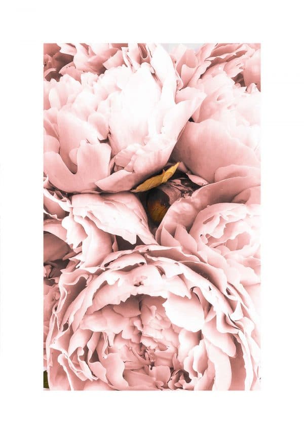 różowa dekoracja ścienna jako plakat pionowy