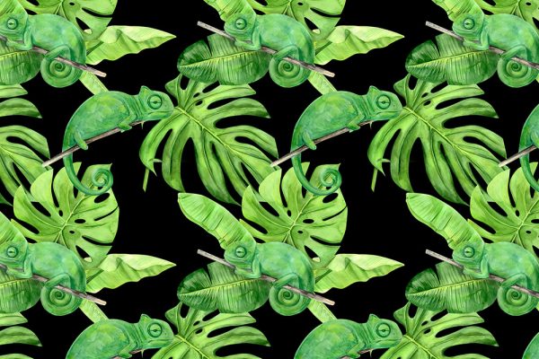 tropikalna fototapeta