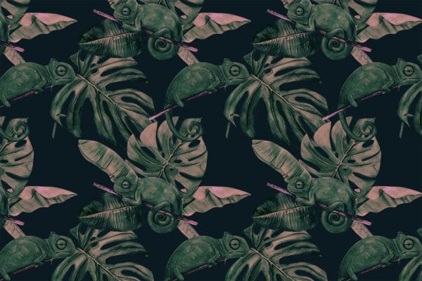 tropikalna fototapeta z kameleonami