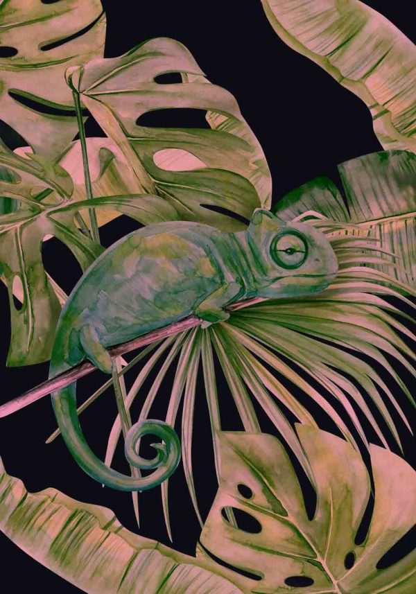 plakat z motywem zwierząt