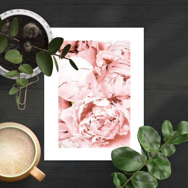 plakat z różowymi kwiatami