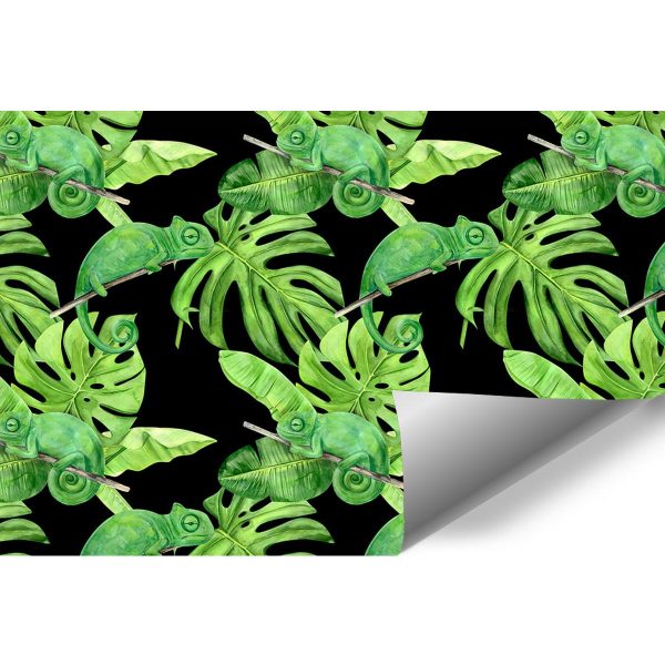 fototapeta z motywem tropikalnym