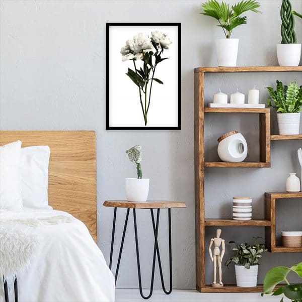 roślinna dekoracja jako plakat