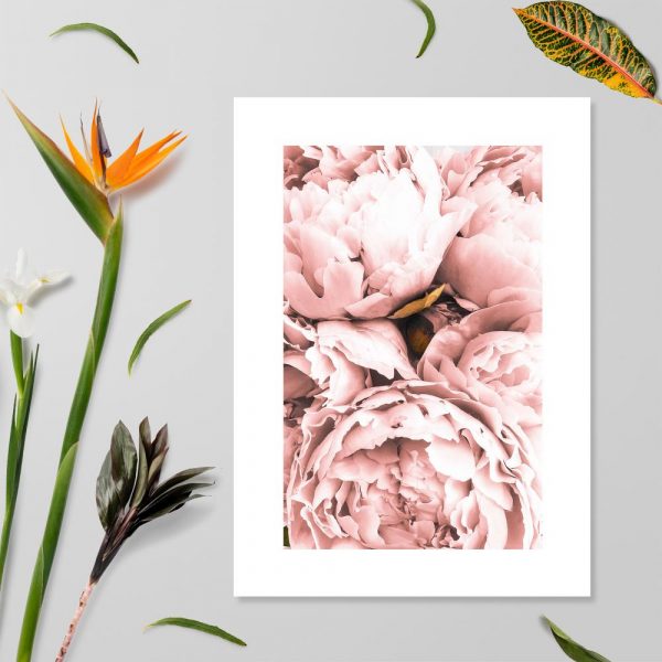 plakat z kwiatami w różu