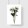 pionowy plakat z kwiatami białymi