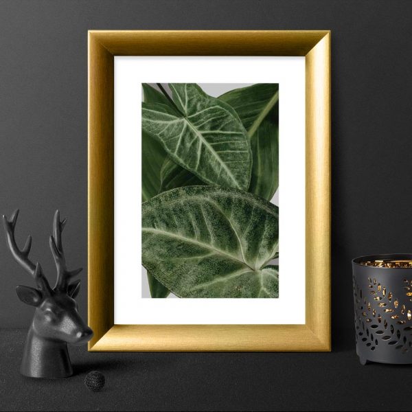 plakat z motywem roślin