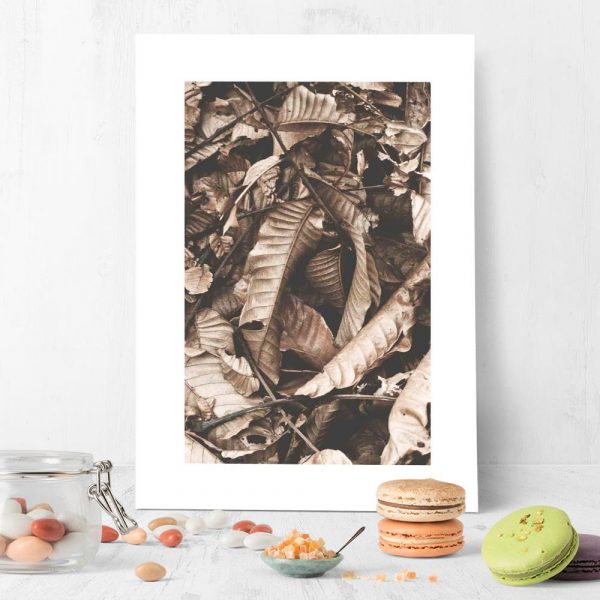 Plakat do oprawienia brązowe liście