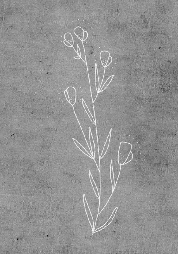 minimalistyczny plakat z rysunkiem rośliny