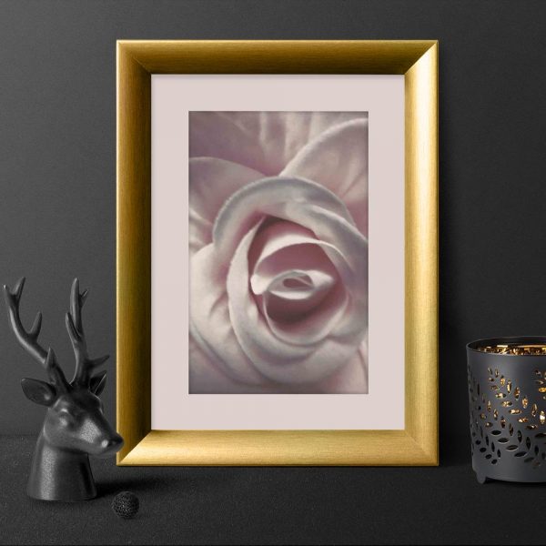 Plakat - Różowa róża do biura