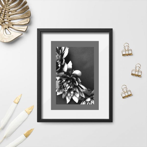 Plakat - Kwiaty czarno-białe do biura