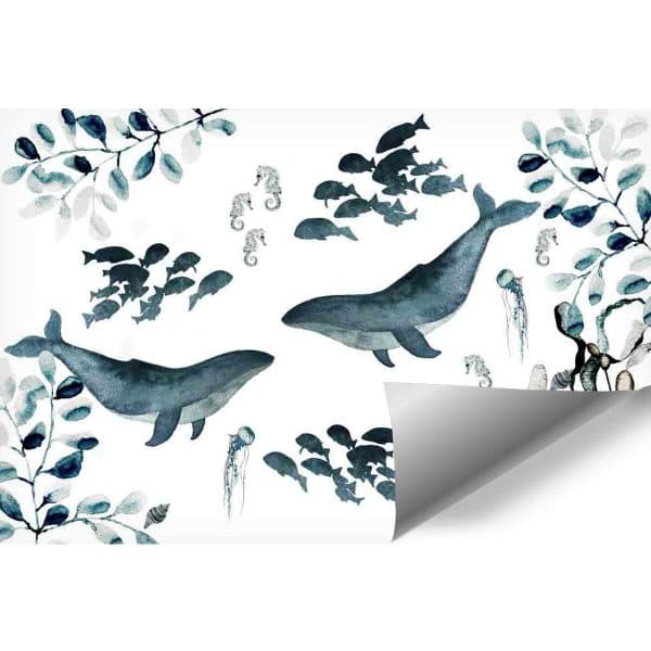 Fototapeta życie morskie