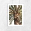 Plakat do pokoju - Motyw egzotycznej palmy