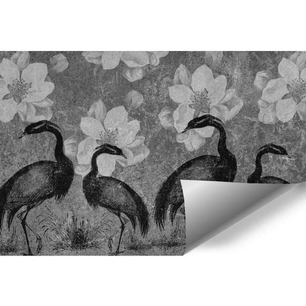 Fototapeta z żurawiami do przedpokoju