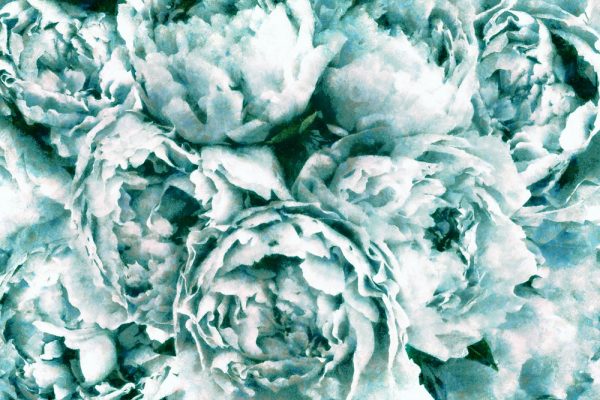 Foto-tapeta z kwiatami