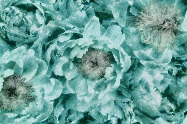 Fototapeta - Turkusowe kwiaty