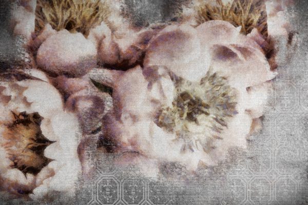 Botaniczna tapeta z kwiatami