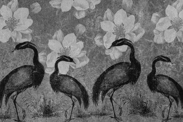 Fototapeta z żurawiami