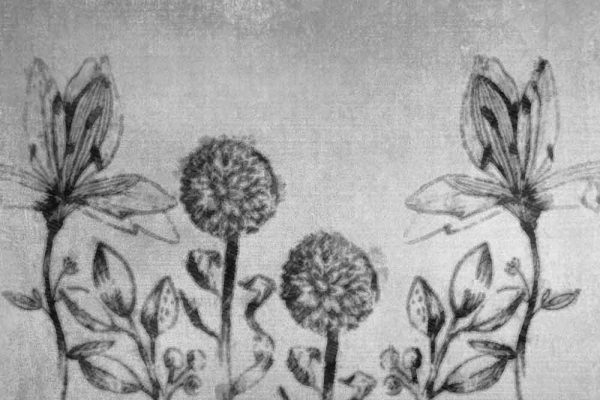 Fototapeta z dmuchawcami