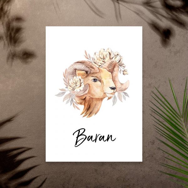 Plakat z baranem do salonu