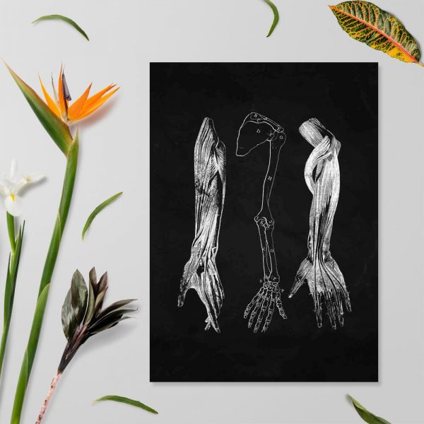 Plakat z motywem przedramienia