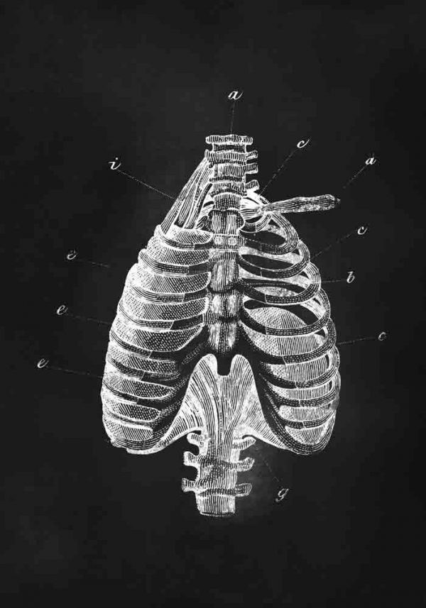 Plakat z klatką piersiową