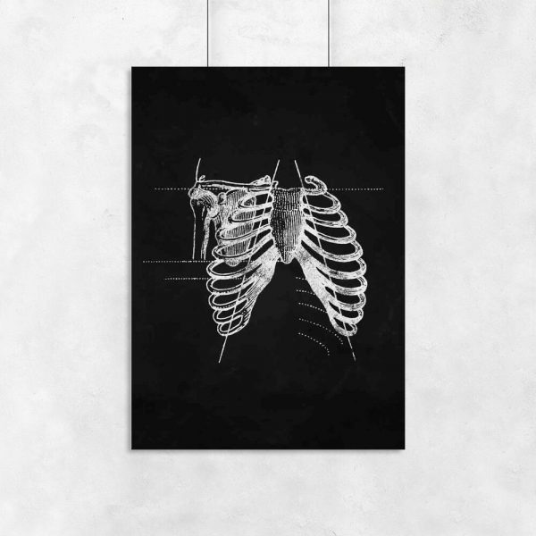 Plakat - Żebra
