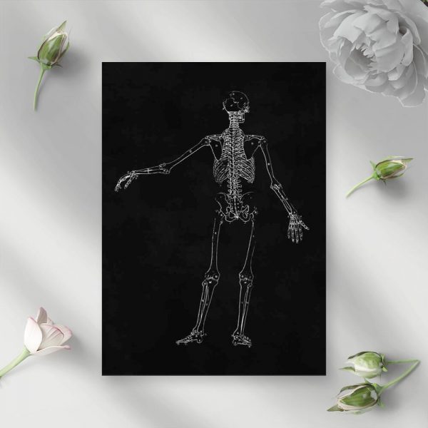 Plakat do gabinetu fizjoterapii - Szkielet